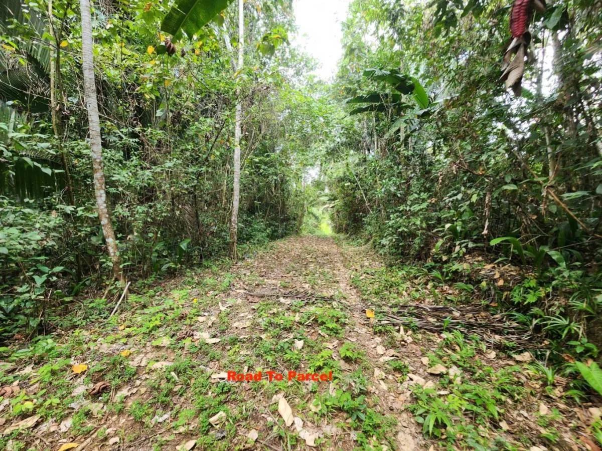 28.2 Acres Of Riverfront In Big Falls - Photo 7