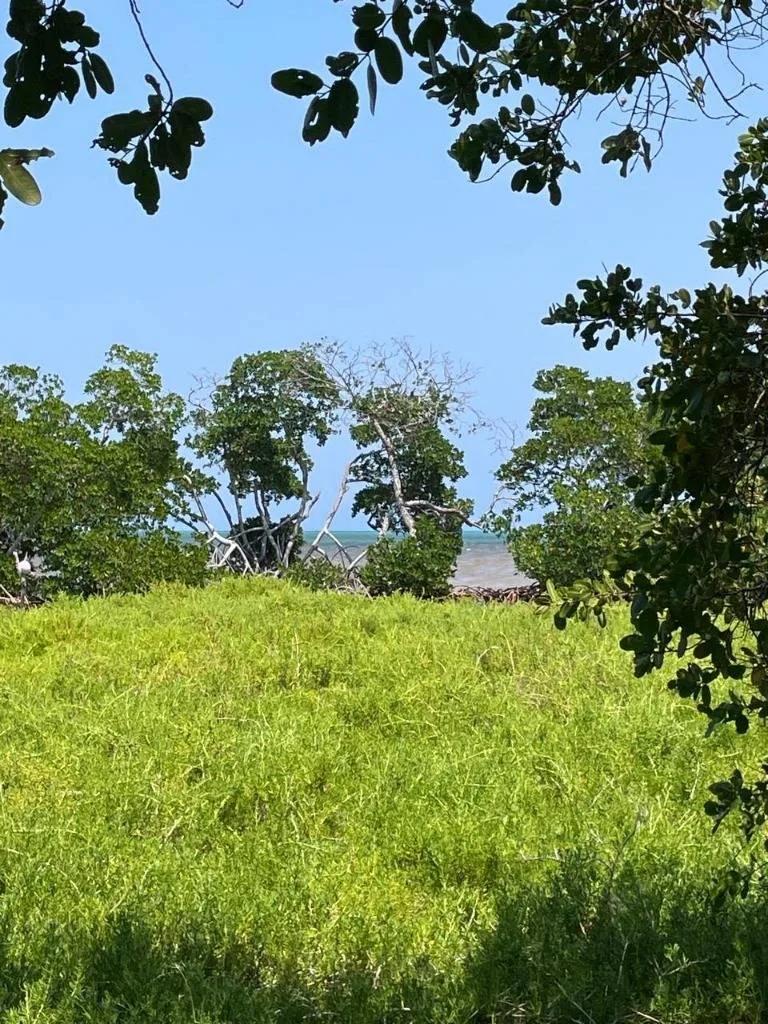 Rare Double Waterfront Lot Opportunity – North Island, Caye Caulker - Photo 7