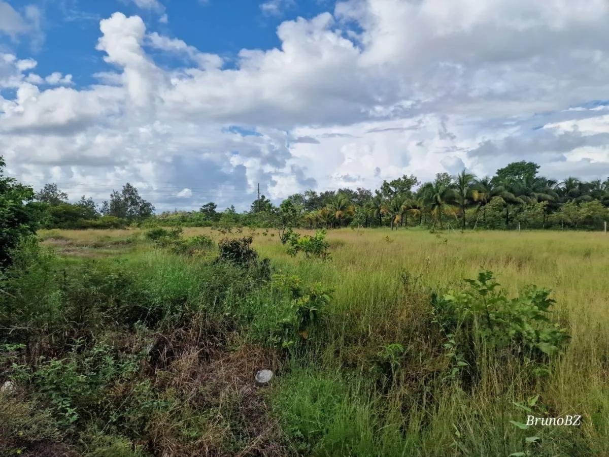 1 acre investment property in Bella Vista (Toledo) For Sale!