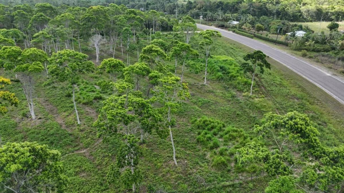 383 Acres of Agricultural & Investment Potential – Bladen, Belize - Photo 5