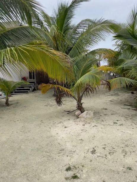 Western Sea and Sunset View lot including a One Bedroom Project Home- North Caye Caulker - Photo 5