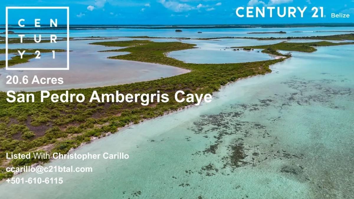 PRICE REDUCED | 20.6 Acres | Ambergris Caye | $900K USD - Photo 4