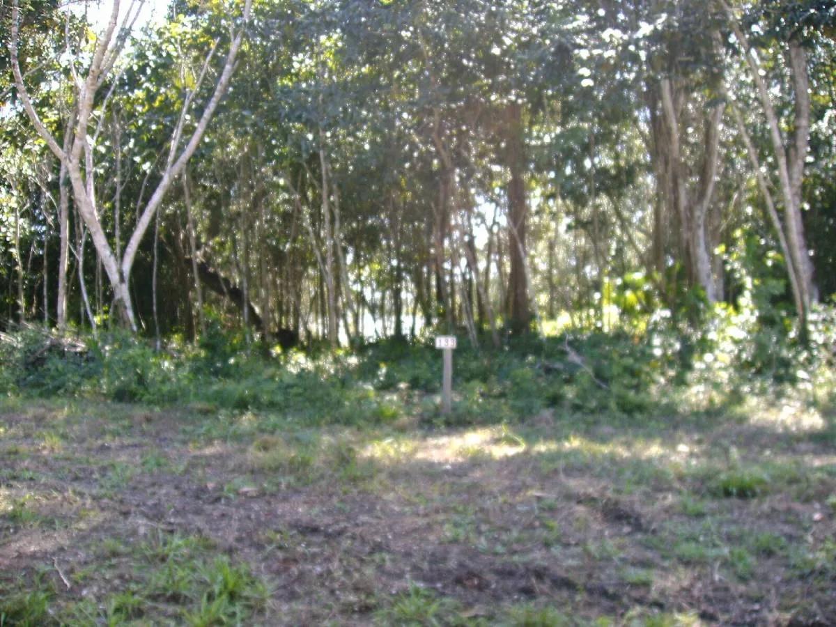 Progresso Heights Lagoon Front Lot - Photo 6