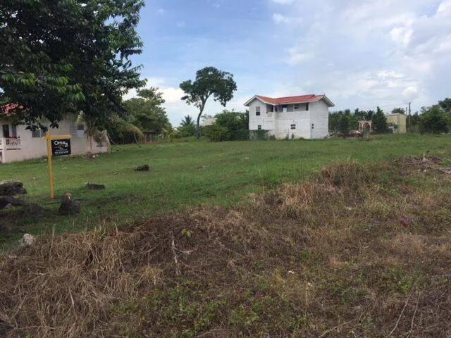 Commercial Parcel in Nation’s Capital of Belmopan - Photo 8