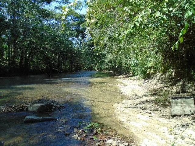 21 elevated acres of pristine forests with 300 plus meters of river frontage. - Photo 5
