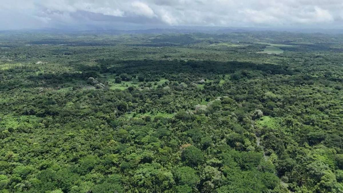 Riverside Tropical Investment – 30 & 12.3 Acres on the Rio Grande, Big Falls - Photo 4