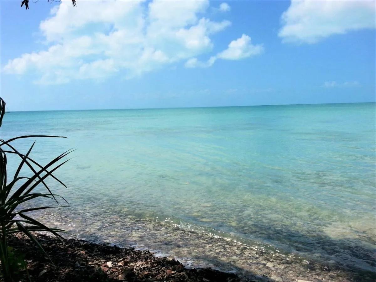 4 SeaFront Lots & 4 Adjacent Back Lots (8 Lots ) Package For Sale in Sarteneja.