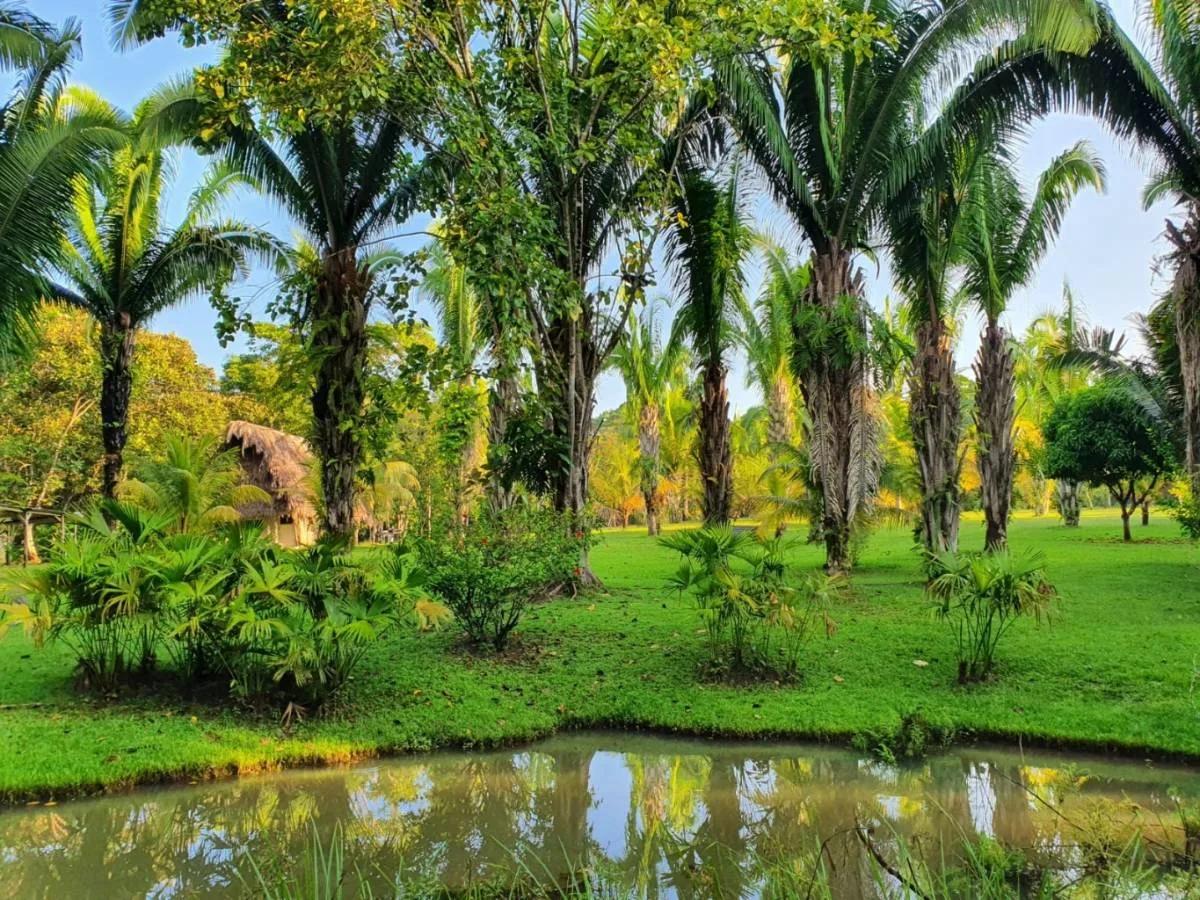 Introducing a fantastic real estate opportunity in the enchanting Toledo area.