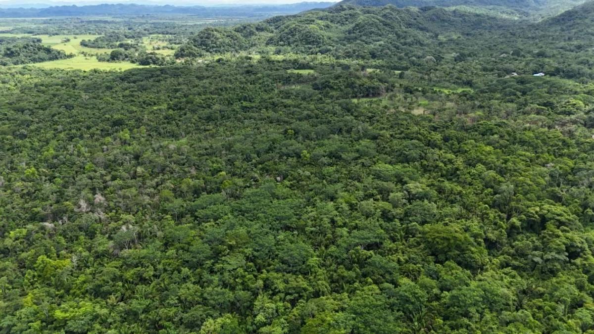 20 Acres in Crique Troso, Mafredi, Toledo District - Photo 4