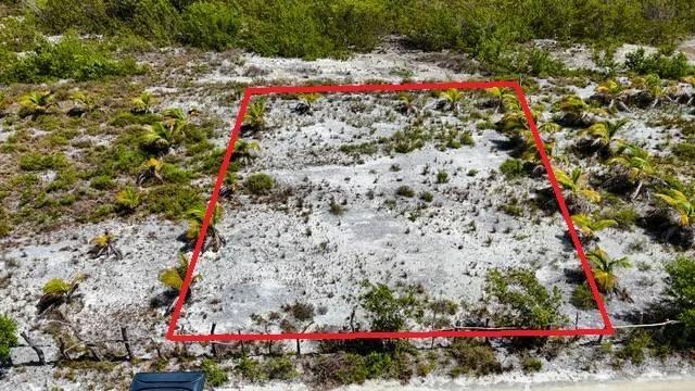 ONE LOT LEFT-Cleared High Lots- -North Island, Caye Caulker - Photo 2