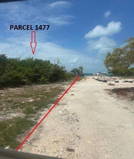 Large Piece of West Facing Beachfront- North Island - Photo 6