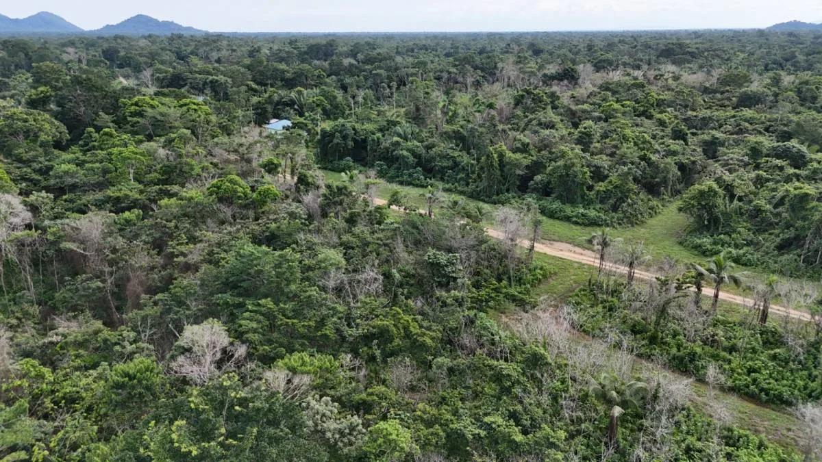 Beautiful 4 parcels high, dry land ready for development in Toledo, Belize - Photo 2
