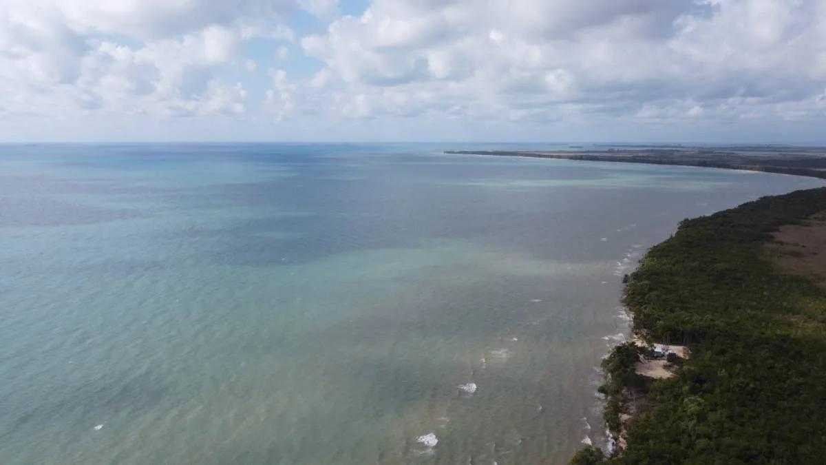 Spectacular 10.314 acres along the seacoast 2 miles north of Punta Negra (Toledo) - Photo 5