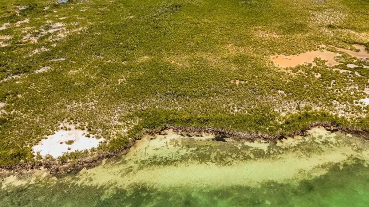 3.49 Acre Seafront Property on Hicks Caye - Photo 4
