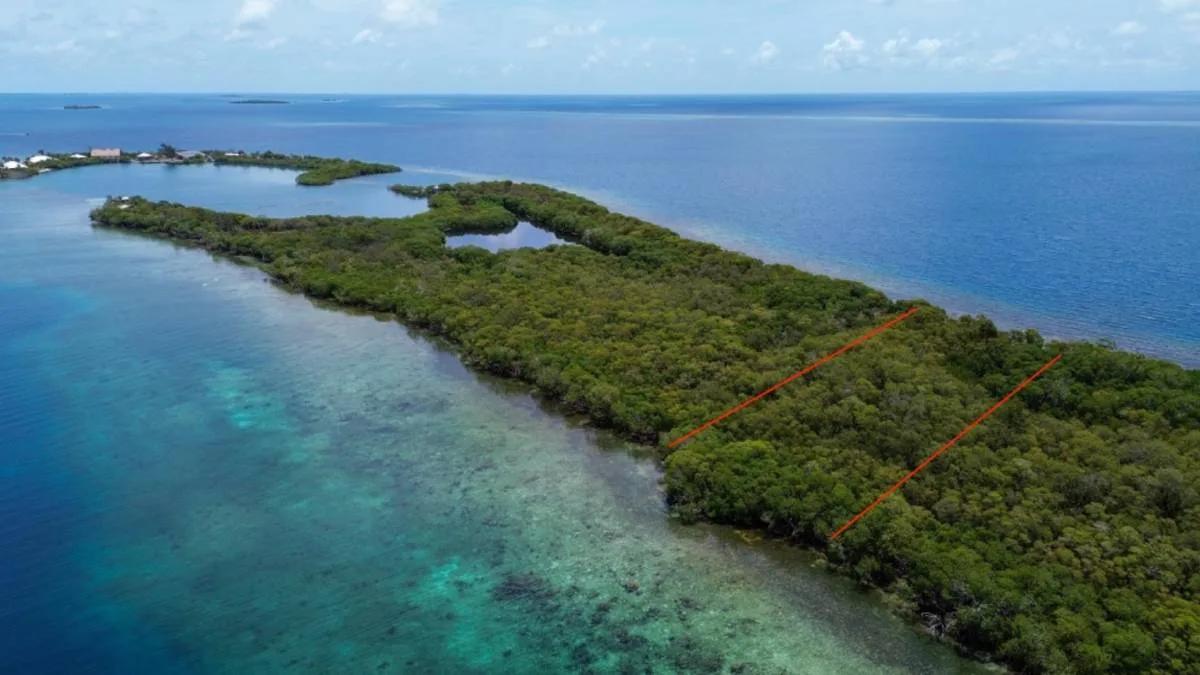 Idyllic Island Lifestyle with 2.031 Acres Of Perfection on Saddle Caye - Photo 4