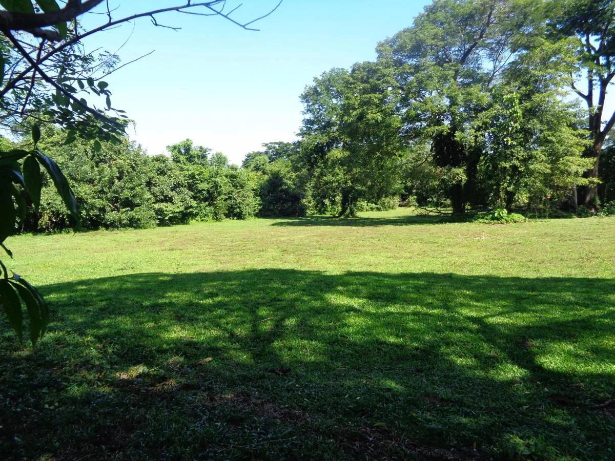39+ magnificent acres of relatively high, fertile land in a tranquil and pristine setting. - Photo 4