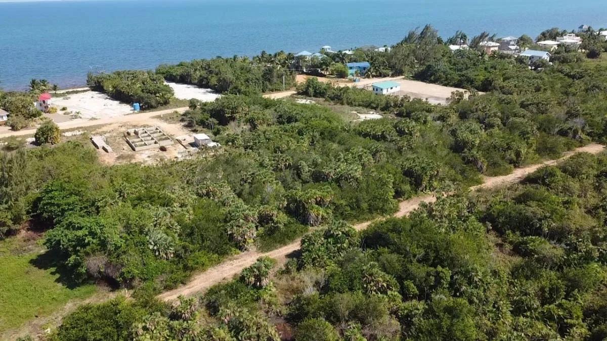 Caribbean Way Residential Lots Available in Placencia  !! - Photo 3