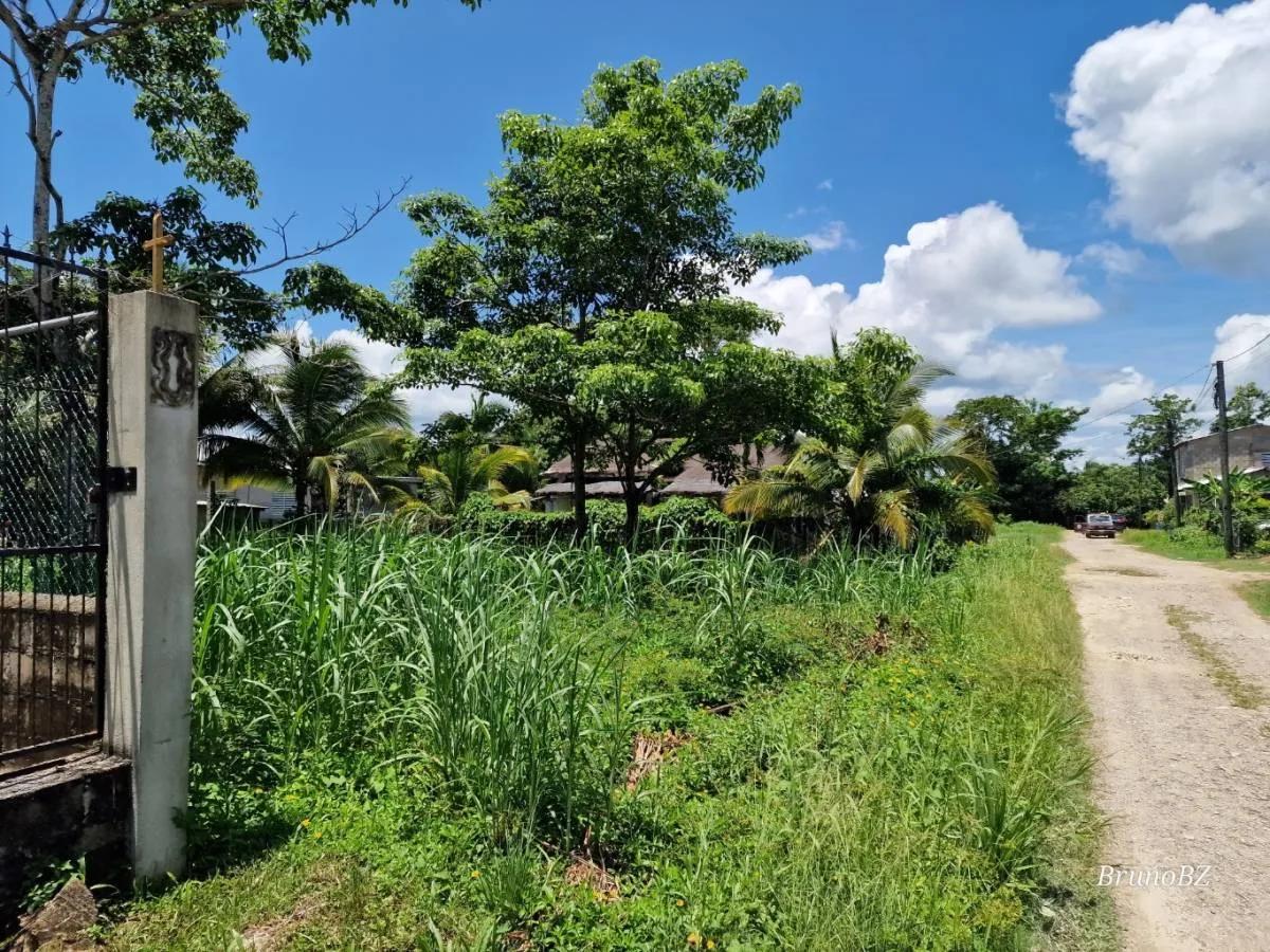 Affordable House Lot for Sale in Punta Gorda Town - Photo 8