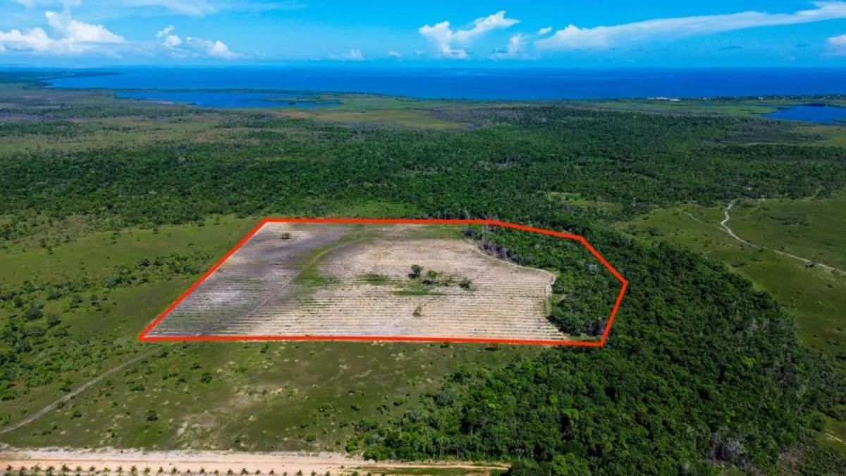 Coconut Farm Paradise – Turnkey Farming Opportunity