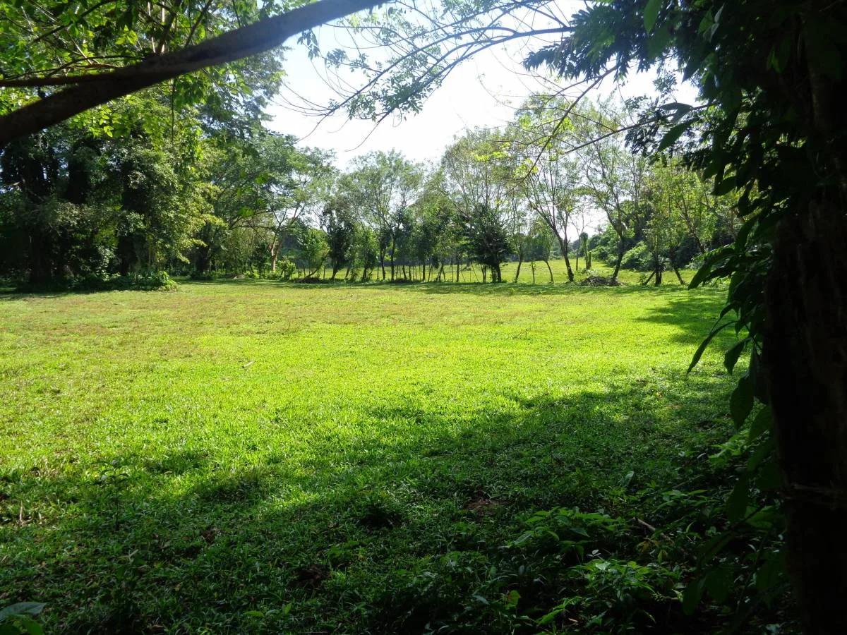 39+ magnificent acres of relatively high, fertile land in a tranquil and pristine setting. - Photo 5