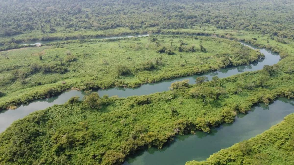 "Riverside Tranquility: 30.119 Acres of Pristine Paradise near San Felipe Village, Toledo" - Photo 7