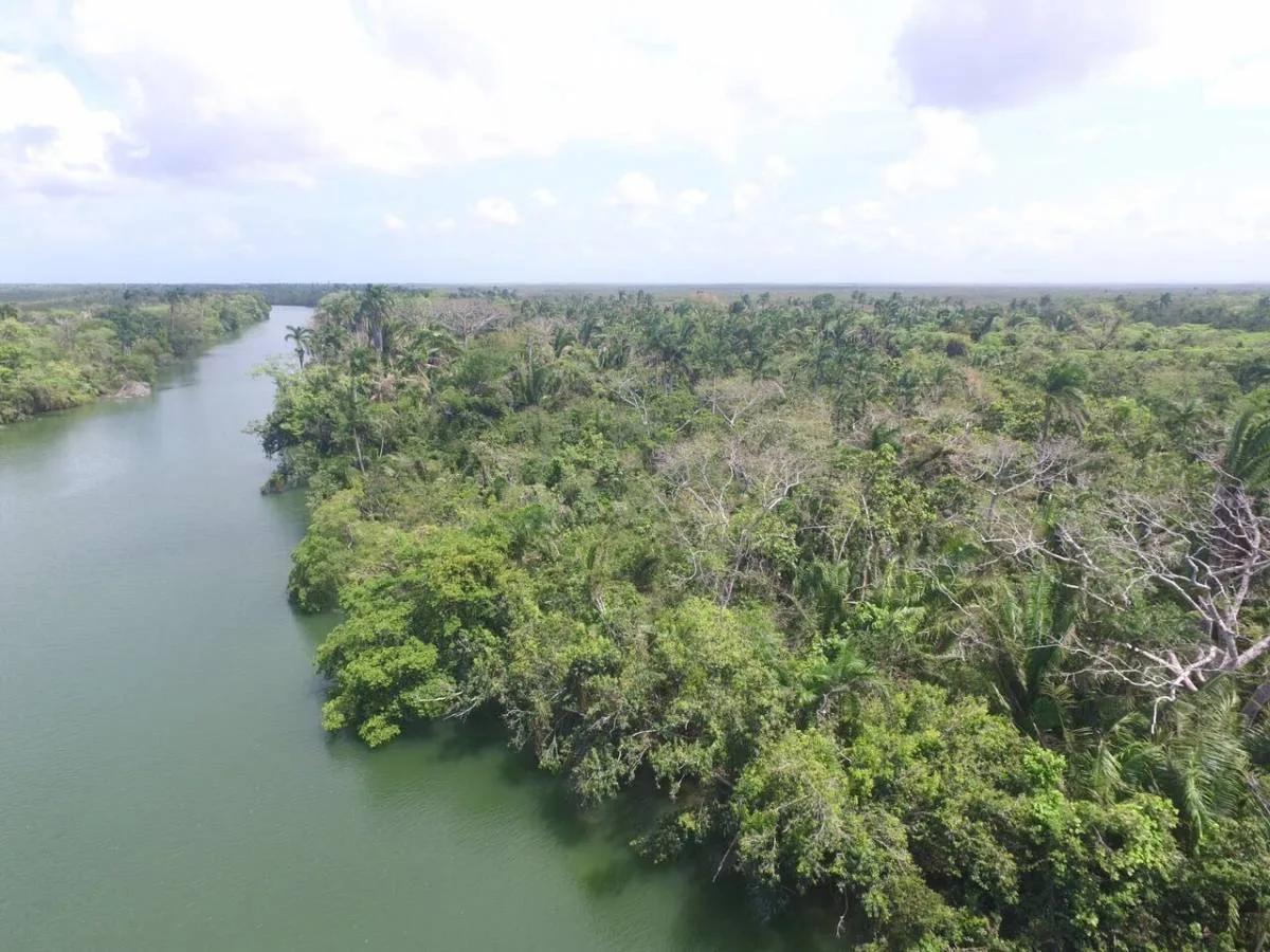 Pristine River Front Plots - Photo 3