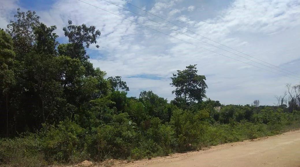 69.734 Acres of Forestry Land in Warree Bight/Sarteneja - Photo 2