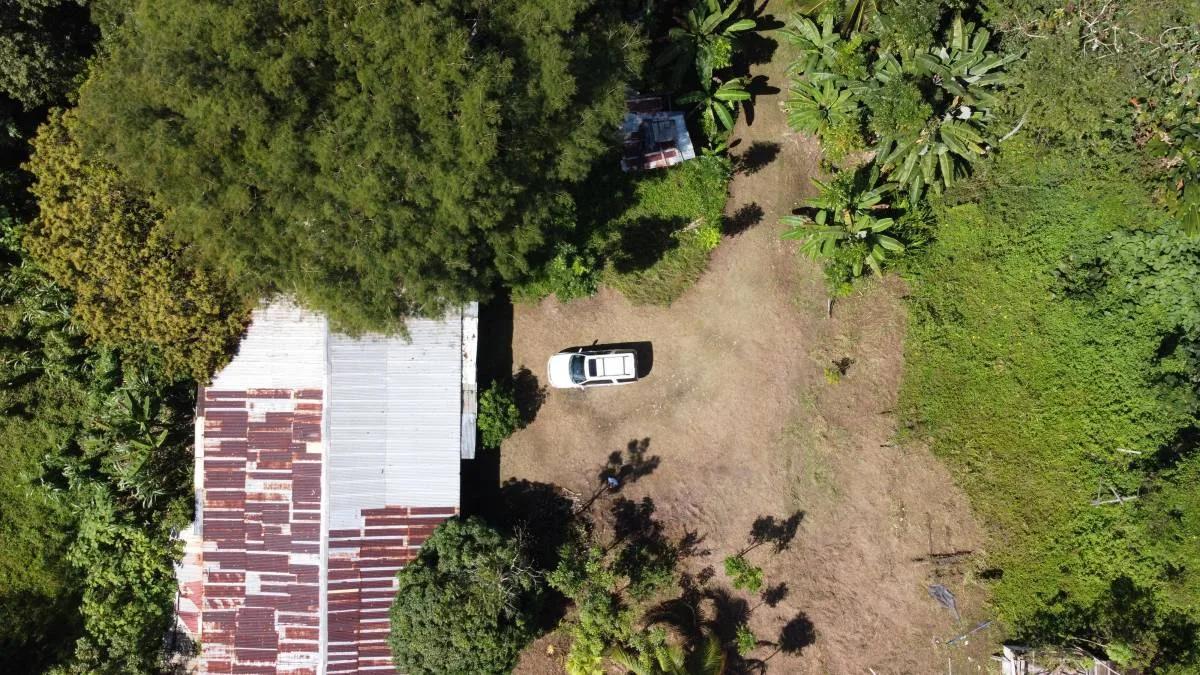 28 acres next to the Maya House of Cacao in Toledo - Photo 4