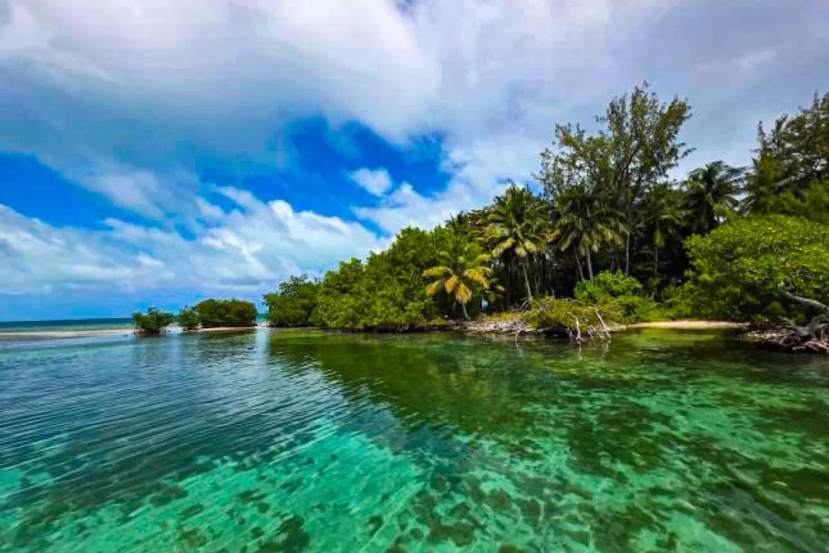 1.4-Acre Private Island for Sale | Buttonwood Caye, Placencia, Belize