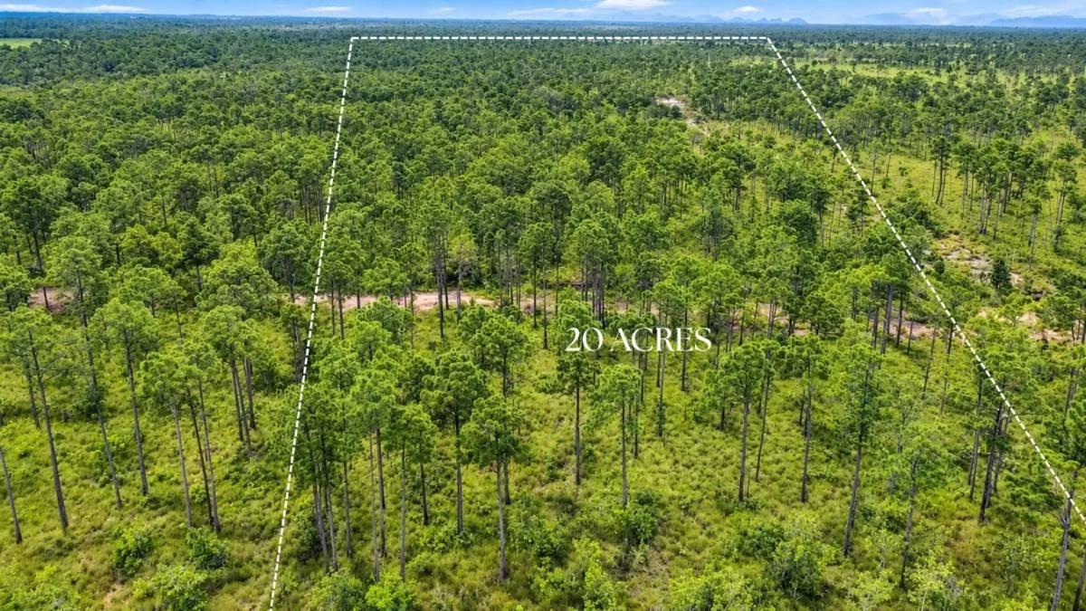 20-Acre Highway-Front Property for Sale | Southern Belize - Photo 5