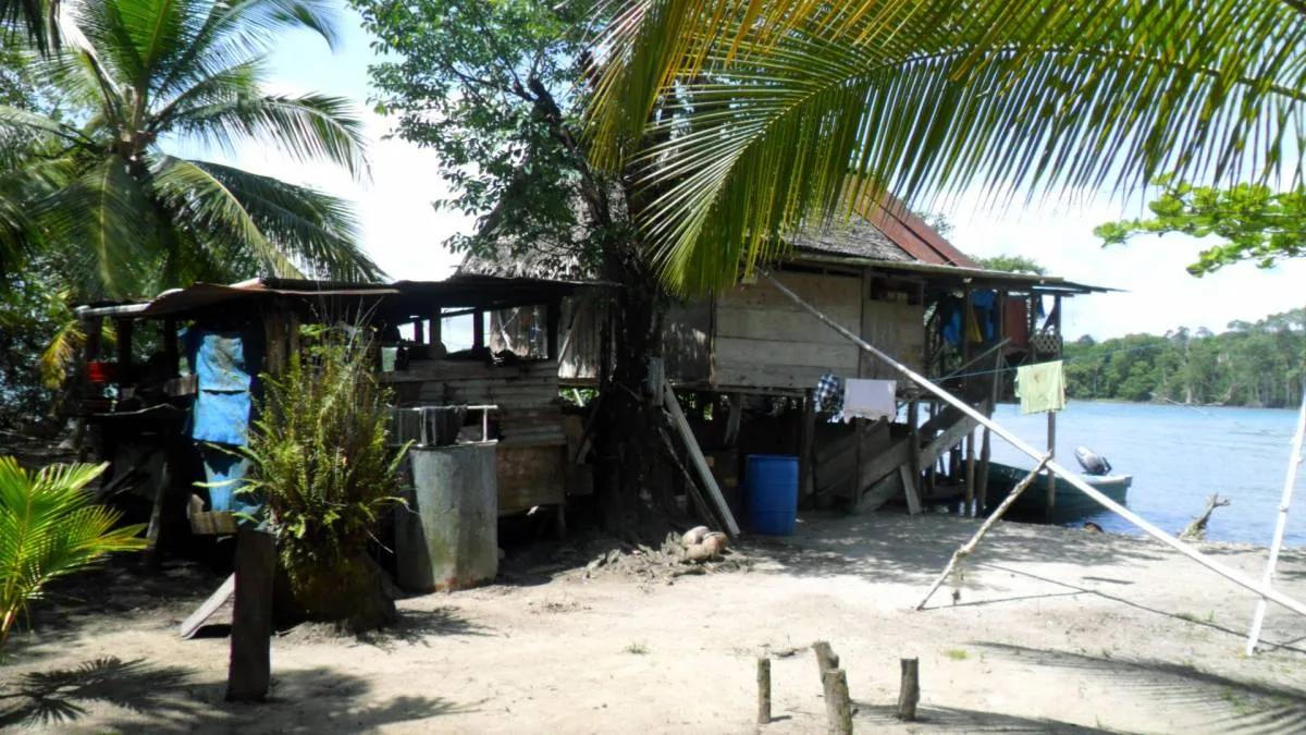 Seventeen plus beautiful acres of land at the mouth of the Moho River and the Caribbean Sea. - Photo 5