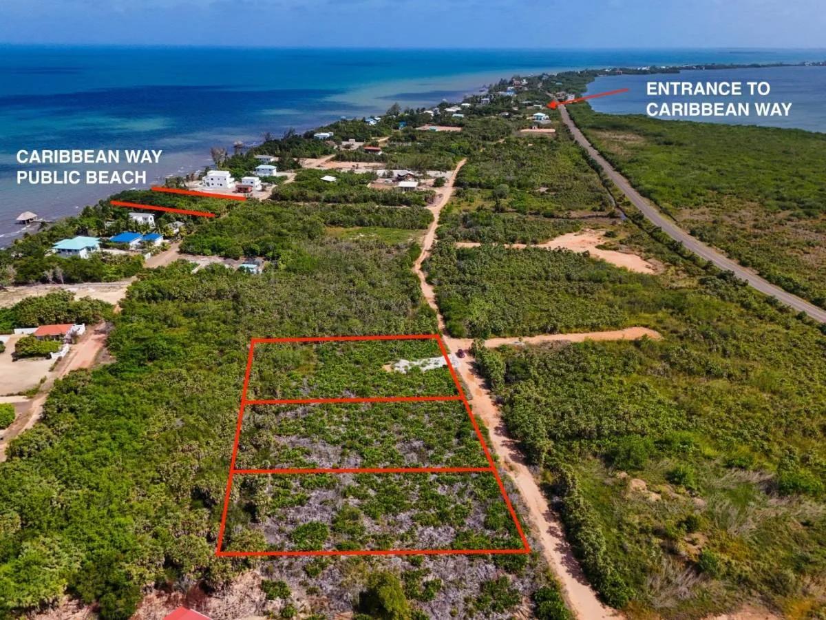 Triple Lot Opportunity (Over 1+ Acre) - Photo 7