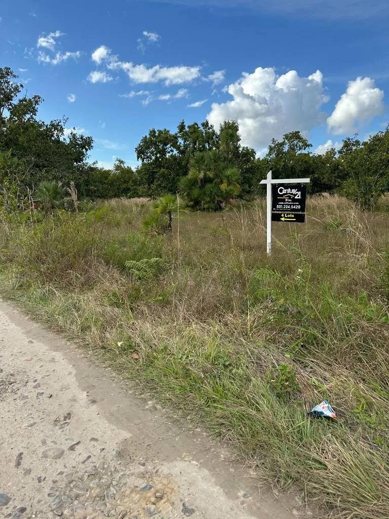 Affordable lots Burrel Boom in Castleton Area . - Photo 3