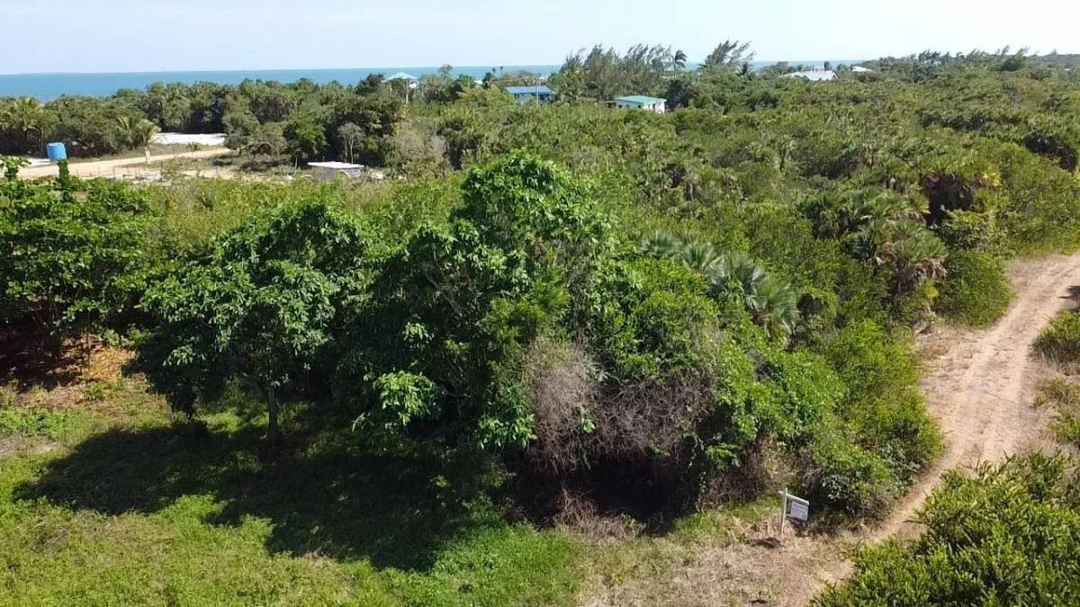 Caribbean Way Residential Lots Available in Placencia  !! - Photo 5