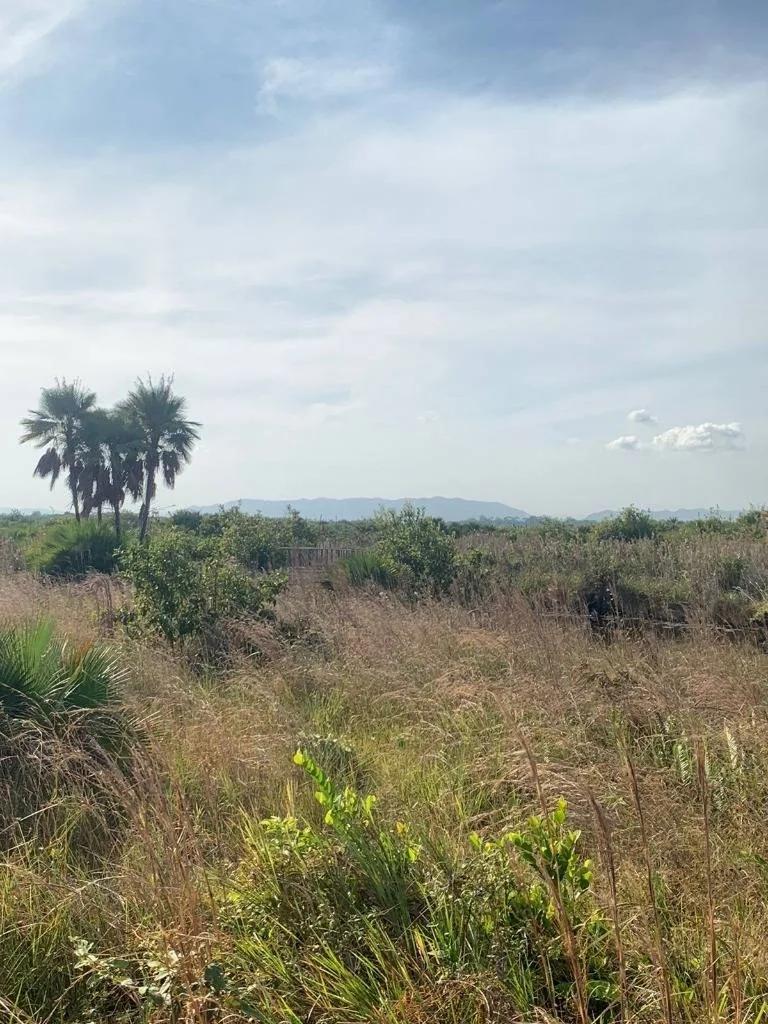Caribbean Way Residential Lots Available in Placencia  !! - Photo 4