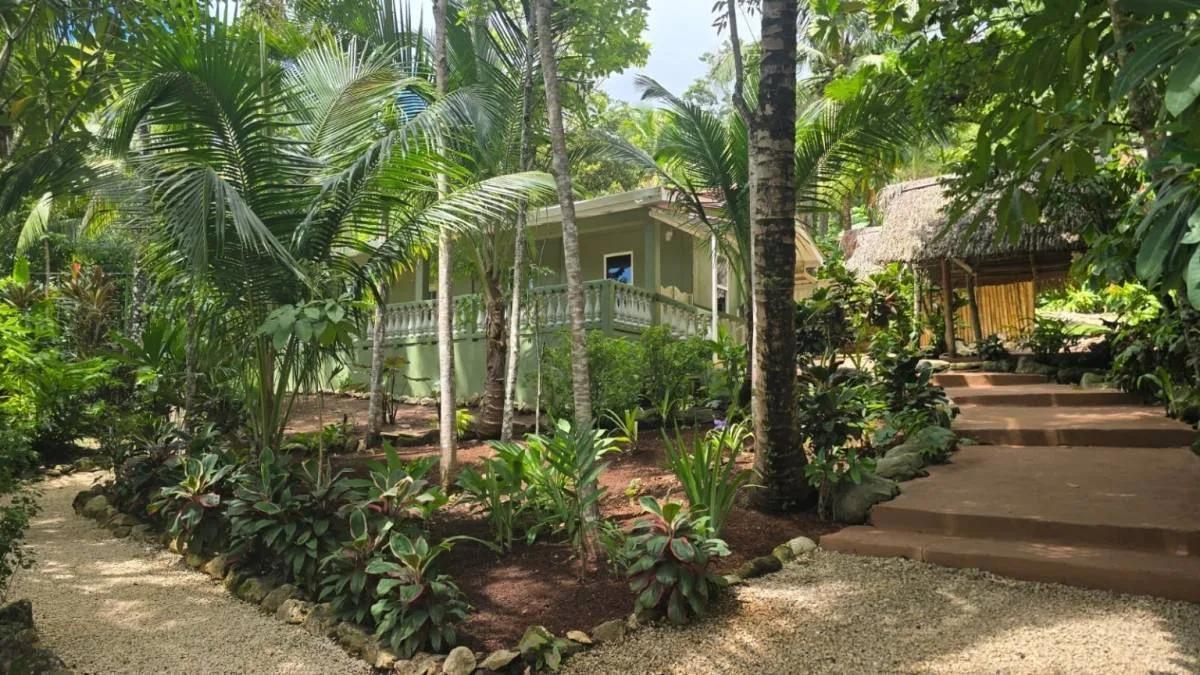 REDUCED! REDUCED! 12.853 Acres of Tropical Retreat Surrounded by Nature