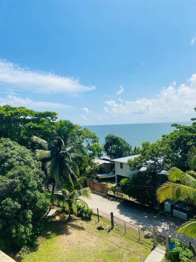 Mango Manor – Ocean View Investment Property in the Heart of Punta Gorda - Photo 3