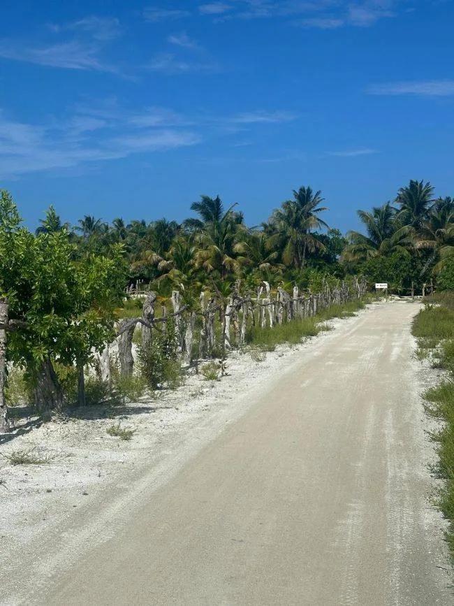 ONE LOT LEFT-Cleared High Lots- -North Island, Caye Caulker - Photo 8