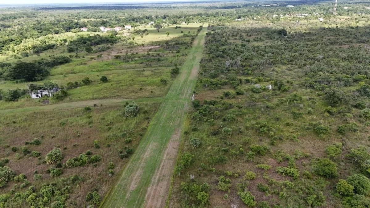 Investor Opportunity Franks Eddy