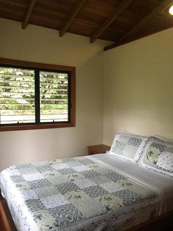 Jungle Escape Cabin at Better In Belize Eco Community - Photo 7