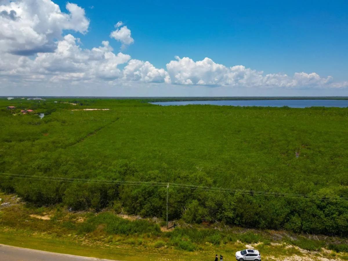 8.96 Acres from Highway to Burdon Canal - Photo 2