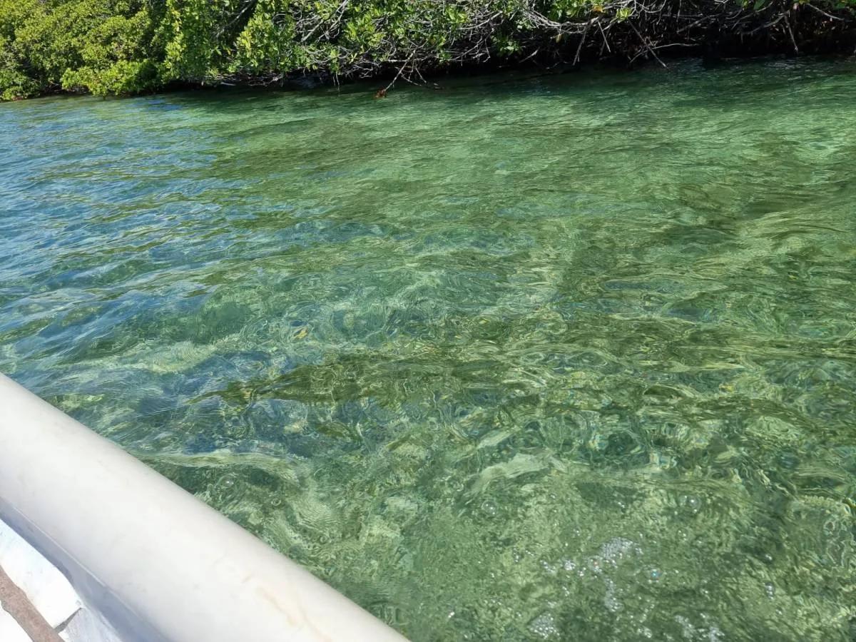 5 acre Private Island Near Ambergris Caye - Photo 7