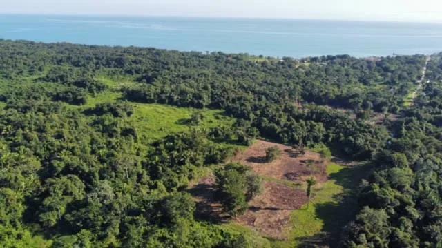 Lush Lots surrounded by Jungle