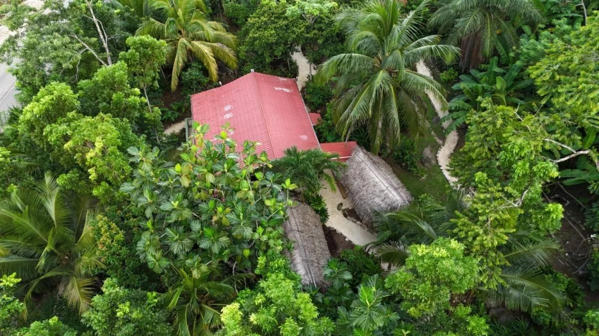REDUCED! REDUCED! 12.853 Acres of Tropical Retreat Surrounded by Nature - Photo 7