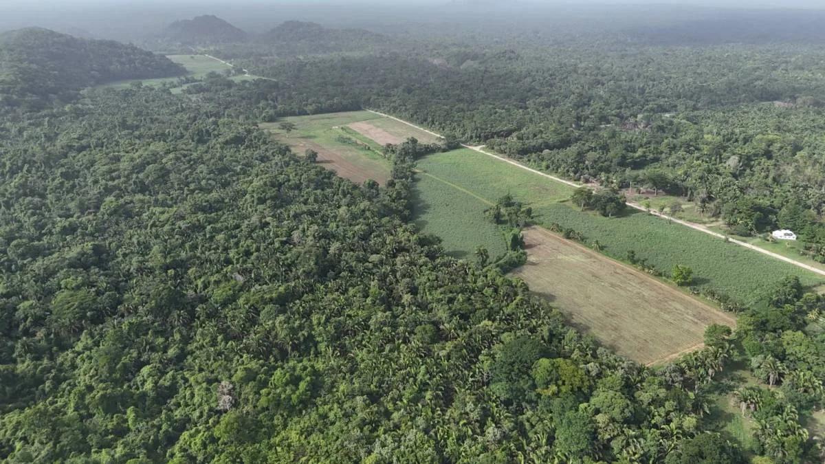 Rare Investment Opportunity Motel and Development Land (251 acres) in Southern Belize - Photo 5
