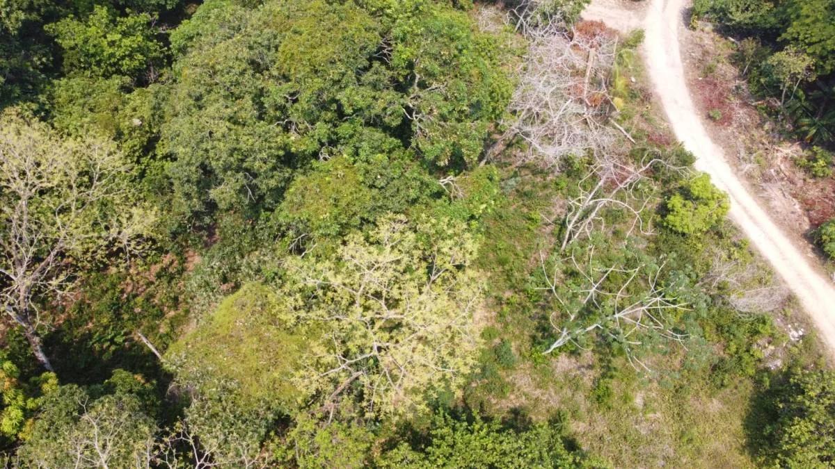 Unique opportunity to own prime land near the Caribbean Sea in Toledo - Photo 8