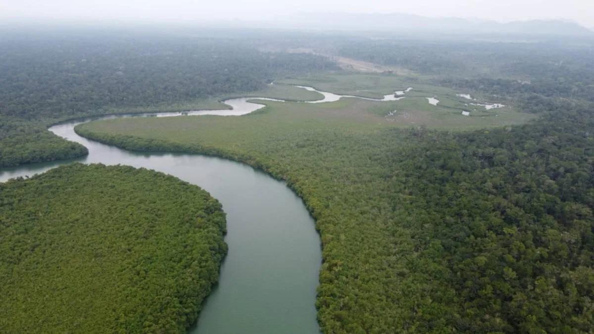 "Prime Riverside Majesty: 50 Acres of Untouched land in the Moho River, Toledo District" - Photo 6