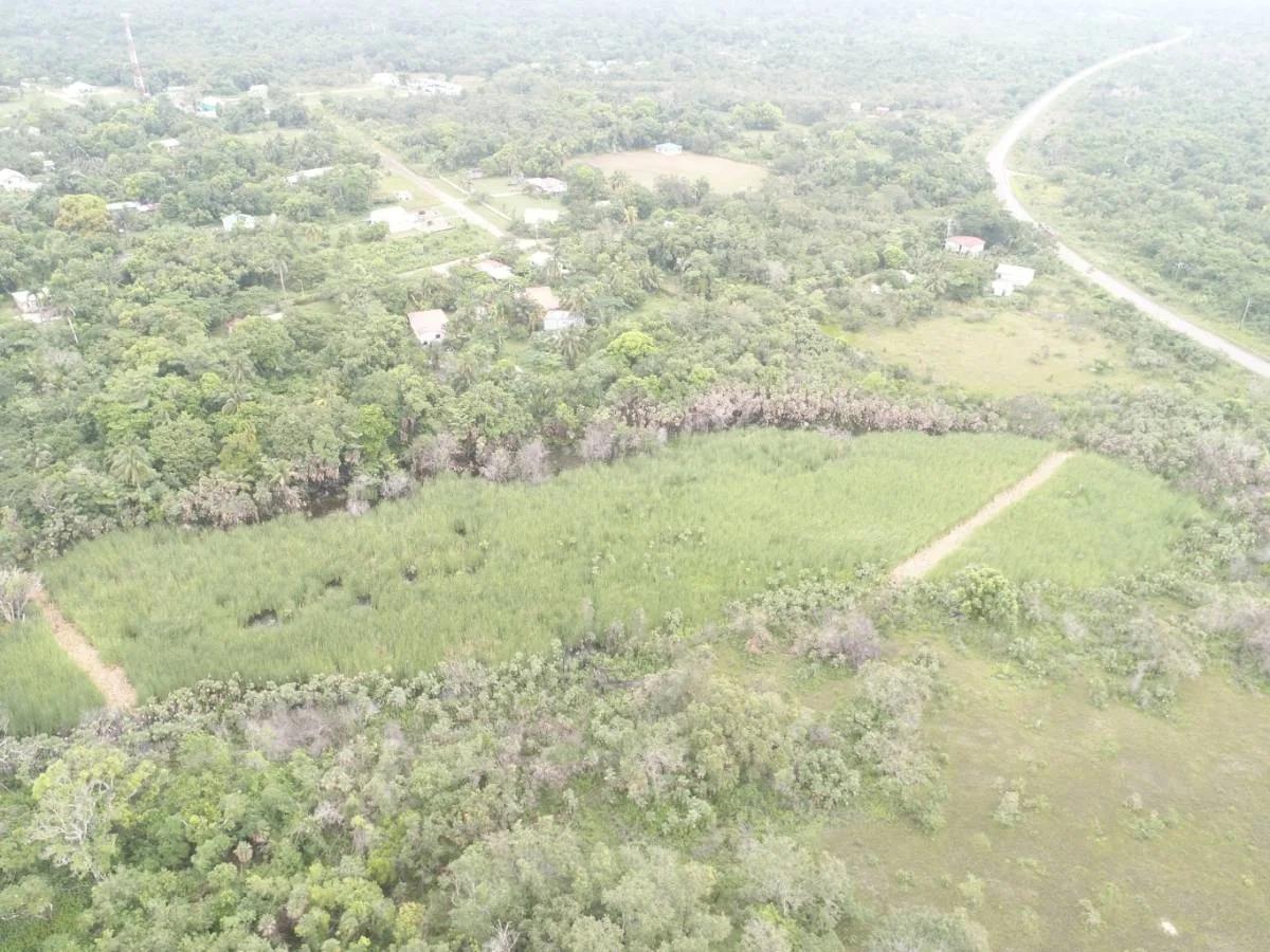 4.65 Acres close to Boom Hattieville Cutoff Road - Photo 2