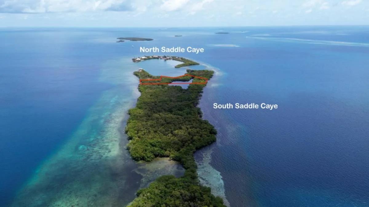 2.025 Acres of Serenity on South Saddle Caye - Photo 3