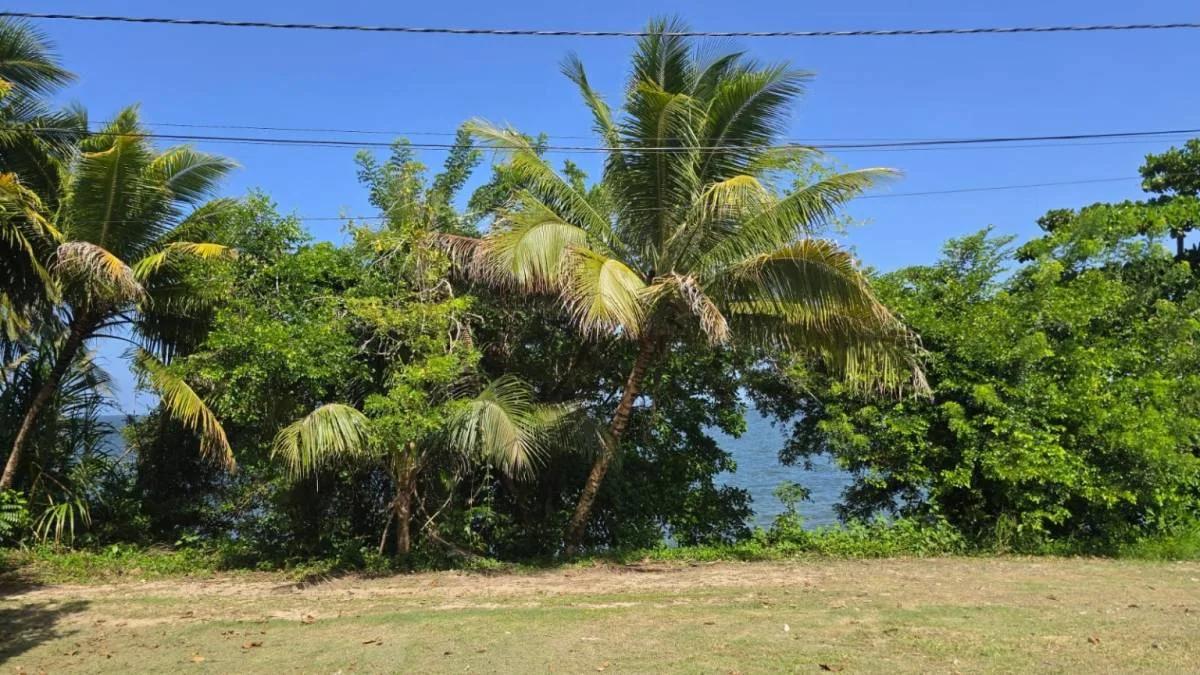 Seaside Residential Lot in Punta Gorda - Photo 6